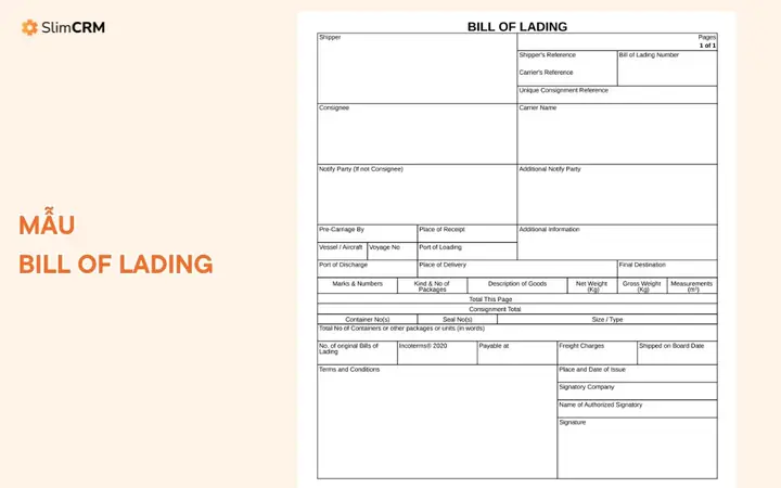 Mẫu Bill Of Lading Mẫu Bill Of Lading