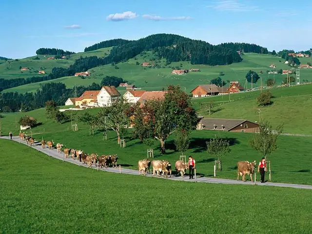 Switzerland Là Nước Gì