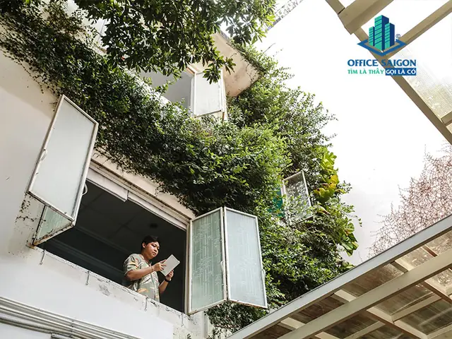 Khám Phá Không Gian Làm Việc Tại Số 6 Phan Kế Bính, Quận 1