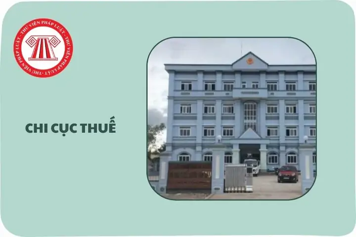 Địa Chỉ Chi Cục Thuế Khu Vực Quận 7 - Nhà Bè Mới Nhất Và Thông Tin Liên Hệ Địa Chỉ Chi Cục Thuế Khu Vực Quận 7 - Nhà Bè Mới Nhất Và Thông Tin Liên Hệ
