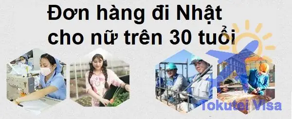 Top Các Đơn Hàng Đi Nhật Lương Cao, Uy Tín Và Những Lưu Ý Quan Trọng Cần Biết Top Các Đơn Hàng Đi Nhật Lương Cao, Uy Tín Và Những Lưu Ý Quan Trọng Cần Biết