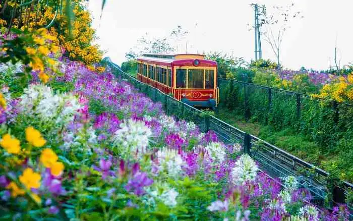 Tàu Hỏa Leo Núi Mường Hoa Sapa: Thông Tin Giá Vé, Lịch Chạy Và Hướng Dẫn Trải Nghiệm Chi Tiết