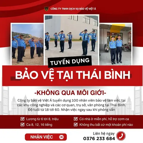 Tổng Hợp Tin Tuyển Dụng Việc Làm Tại Thái Bình Mới Nhất 2026