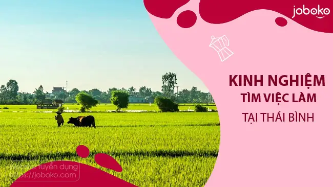 Tổng Hợp Tin Tuyển Dụng Việc Làm Tại Thái Bình Mới Nhất 2026