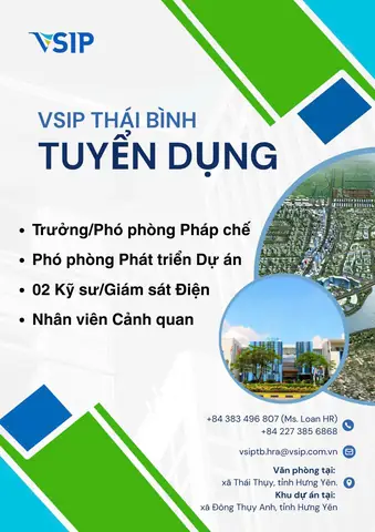 Tổng Hợp Tin Tuyển Dụng Việc Làm Tại Thái Bình Mới Nhất 2026