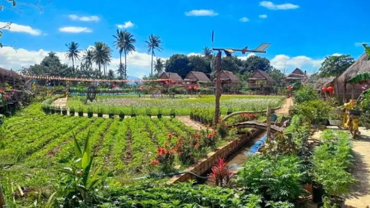 Thị Xã Ayun Pa, Gia Lai: Tổng Quan Thông Tin Hành Chính Và Cập Nhật Mới Nhất